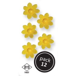 Flores de Margarida Comestíveis Amarelas Pack 12
