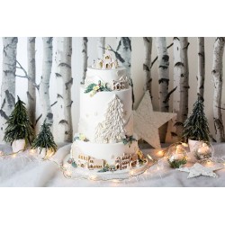 Molde Silicone Árvore de Natal e Acessórios Karen Davies