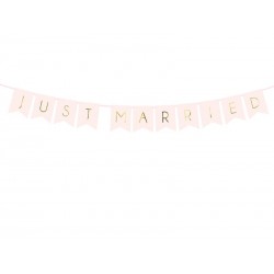 Banner Just Married Rosa