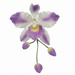 Cortador de Orquídea Cattleya