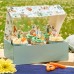 Caixa 6 Cup Cakes Peter Rabbit & Friends 