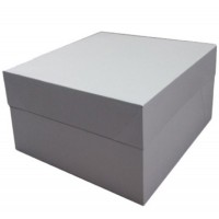 Caixa Cartolina Reg. Alt 28 cms