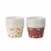 24 Formas Cup Cakes Estrelas