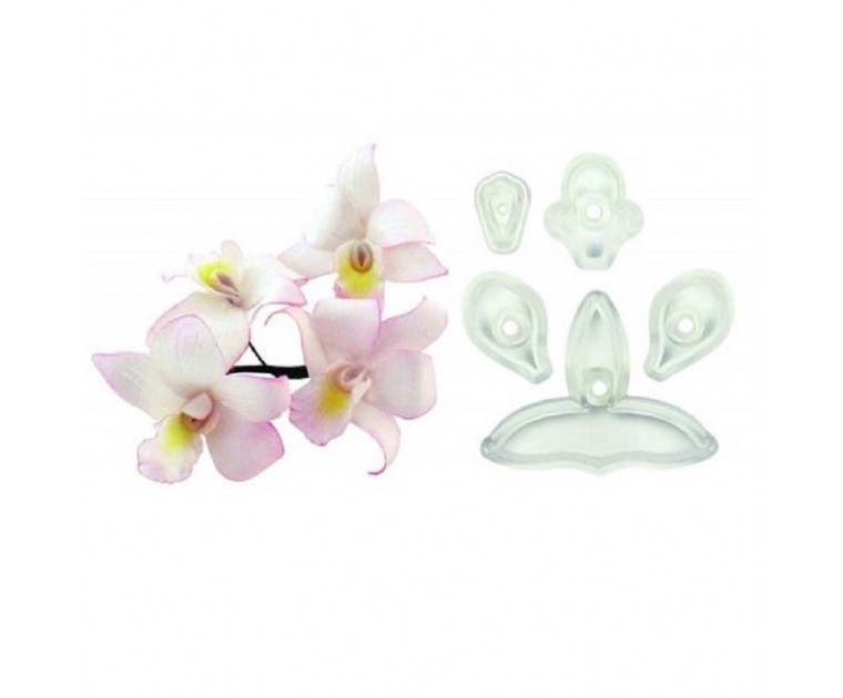 Set 5 Cortadores JEM Orquidea de Singapura