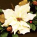 Cortadores Poinsettia Flor Natal FMM