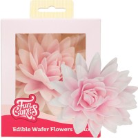 Peónia Rosa Comestível