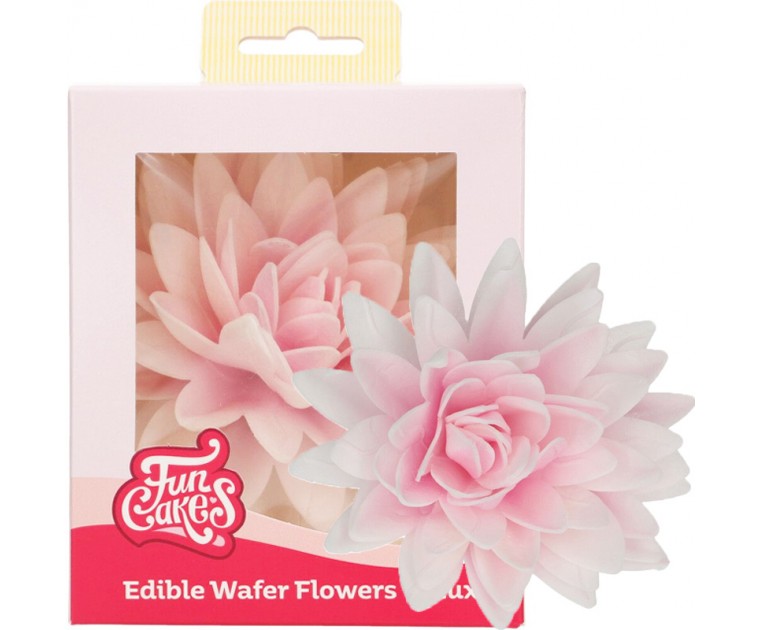 Peónia Rosa Comestível