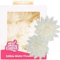 14 Flores Comestíveis Aster Branco