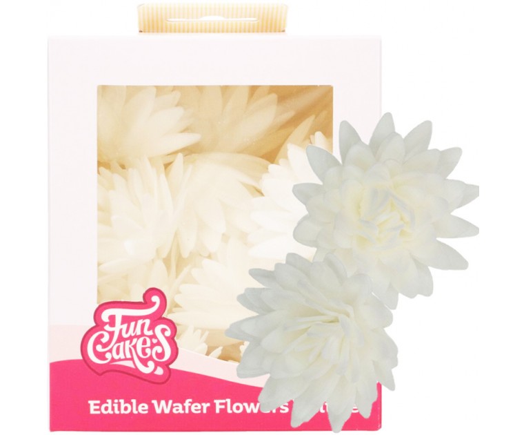14 Flores Comestíveis Aster Branco