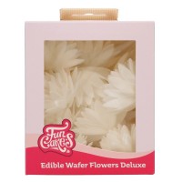 14 Flores Comestíveis Aster Branco