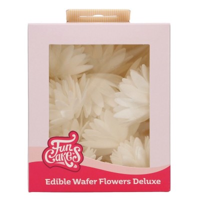 14 Flores Comestíveis Aster Branco