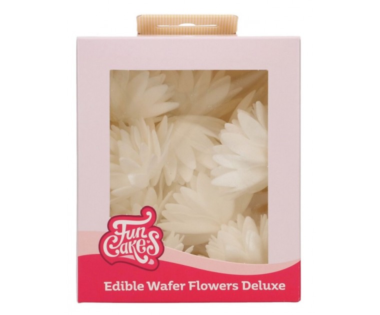 14 Flores Comestíveis Aster Branco