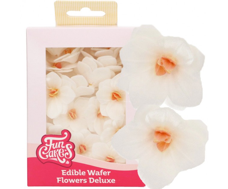 Flores Comestíveis  Hortênsia  Branca