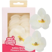10 Orquídeas em Hóstia Brancas