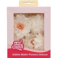 10 Flores de Lotus Comestíveis