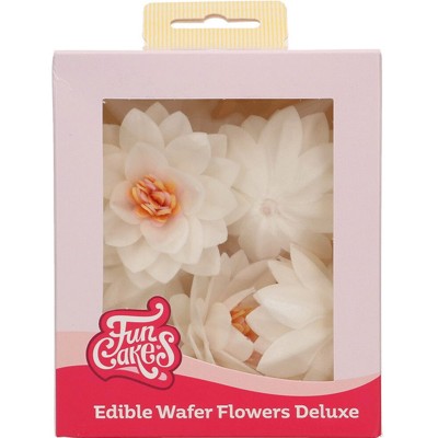 10 Flores de Lotus Comestíveis