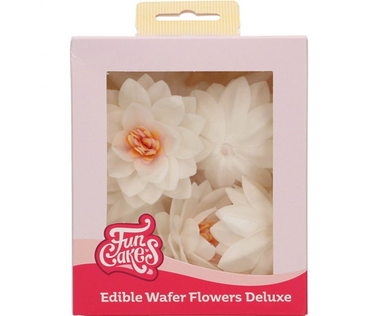 10 Flores de Lotus Comestíveis