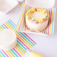 Folhas Papel Riscas Arco Íris Caixas Bênto Cakes