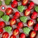 Modelador Ejetor Heróis Avengers Capitão América