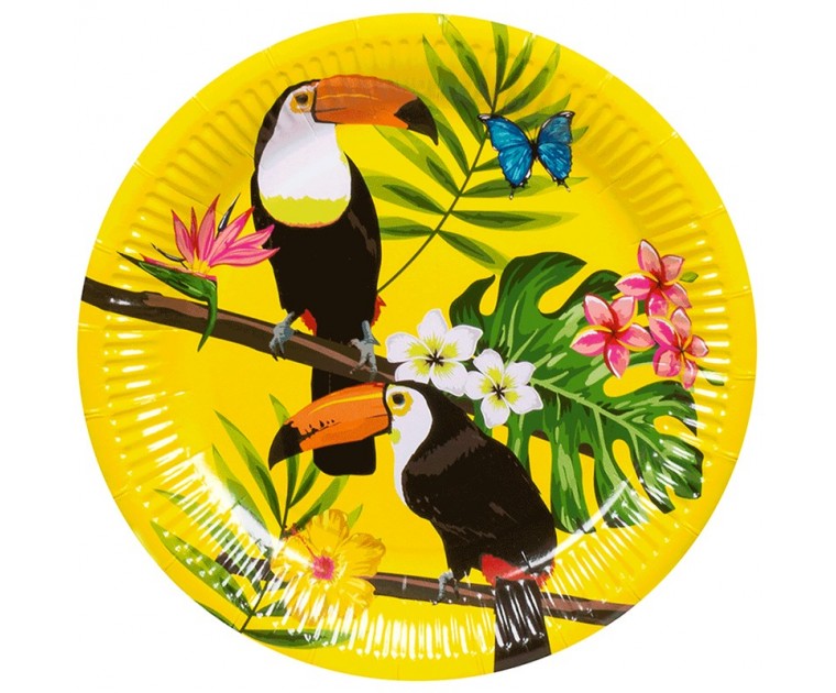 6 Pratos Tucano Tropical