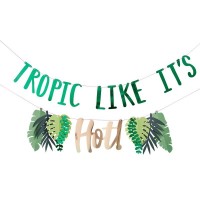 Banner TROPIC LIKE ITS HOT
