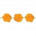 Grinalda Pompons