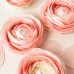 10 Folhas Finas Wafer Paper Cores Sortidas