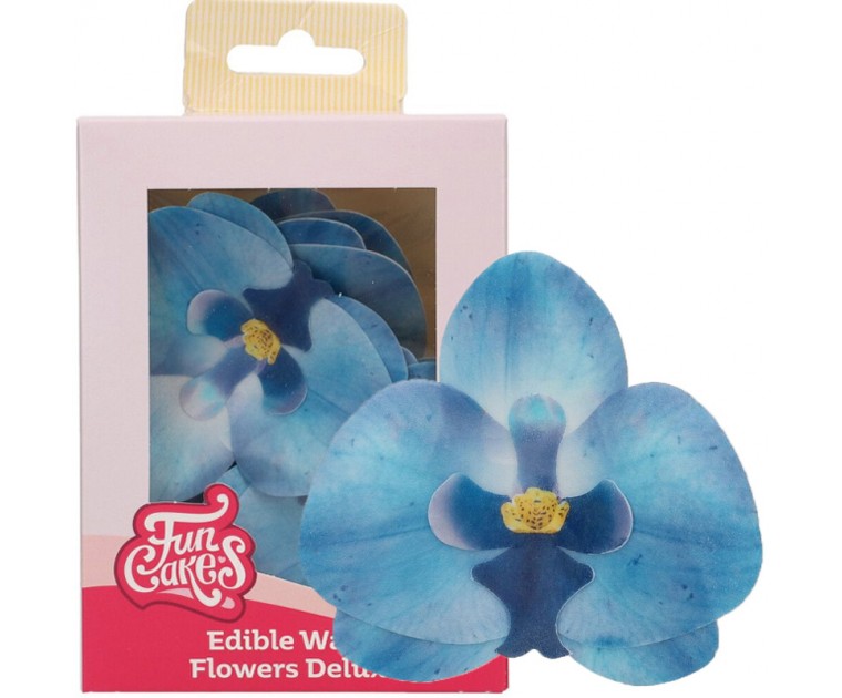 10 Orquídeas Azuis em Hóstia