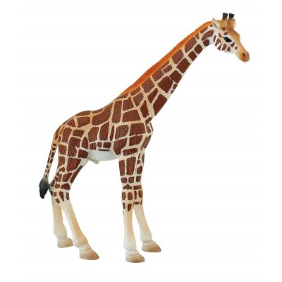Girafa Touro Girafa Touro