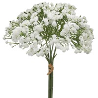 Bouquet Gypsophila 