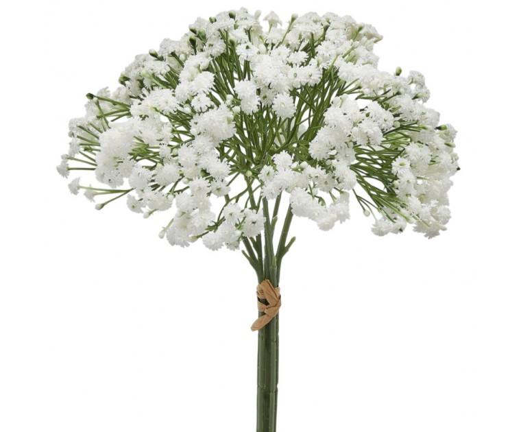 Bouquet Gypsophila 