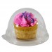 10 Caixas Cristal Mini Cake 