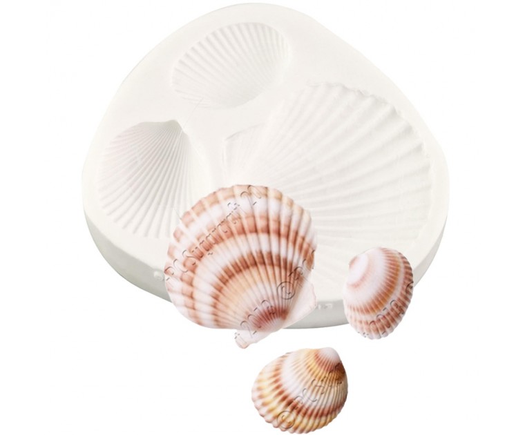 Molde Silicone Conchas Largas