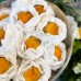 20 Forminhas Cravo Branco Clean 20 Forminhas Cravo Branco Clean