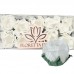 20 Forminhas Cravo Branco