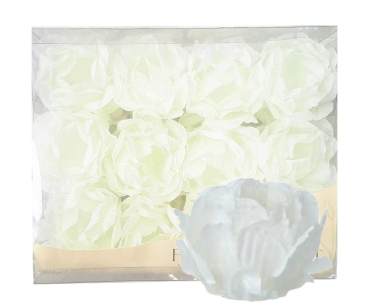 30 Forminhas Peónia Branco Clean