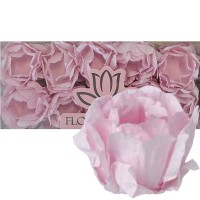 20 Forminhas Rosa Chá Clean