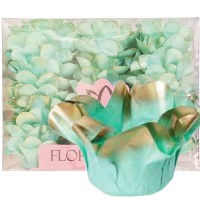 Conj. 30 Forminhas Verde Bebé e Dourado