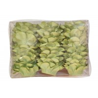 Conj. 30 Forminhas Açucena Pistacho