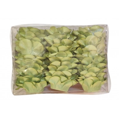 Conj. 30 Forminhas Açucena Pistacho