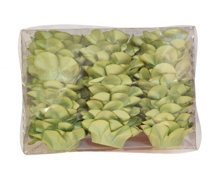 Conj. 30 Forminhas Açucena Pistacho