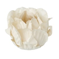 30 Forminhas Peónia Off White