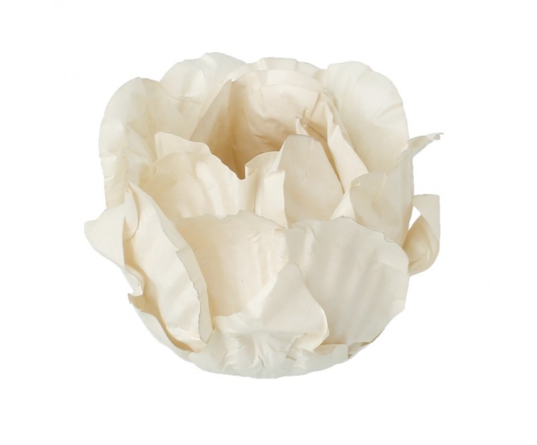 30 Forminhas Peónia Off White
