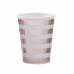 8 Copos Menta e Rose Gold