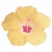 Guardanapos Flor Hawaiian