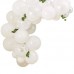 Kit Arco de Balões Branco com Folhagem