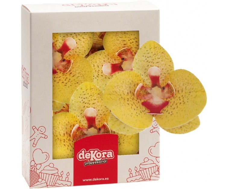 Orquídeas em Hóstia Amarelas