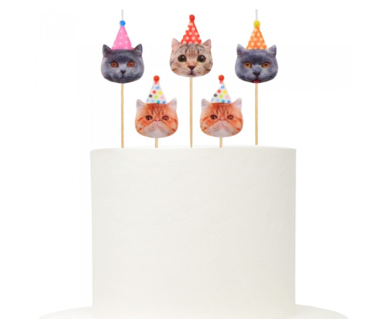 Conj. 5 Velas Gatos