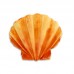 Molde  Silicone Concha