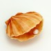 Molde  Silicone Concha